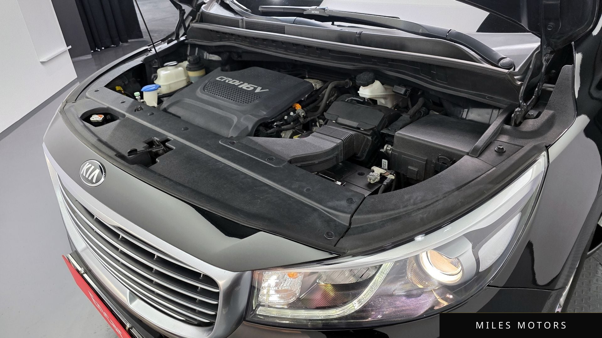 Kia Canival 2017 — миниатюра 5