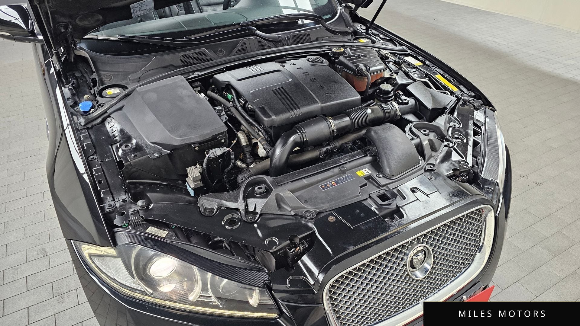 Jaguar New XF 2012 — миниатюра 6