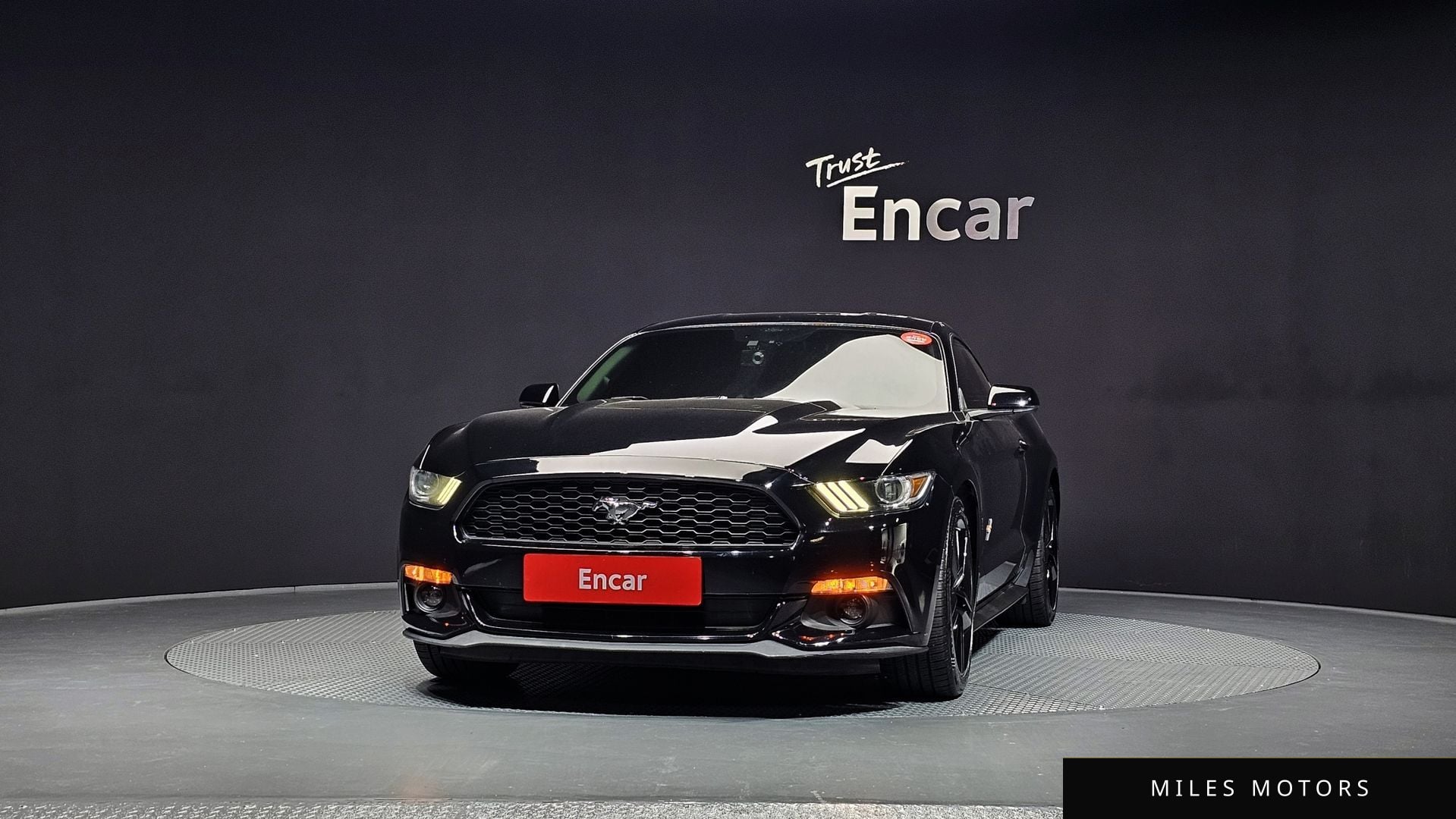 Ford Mustang 2016 — миниатюра 3
