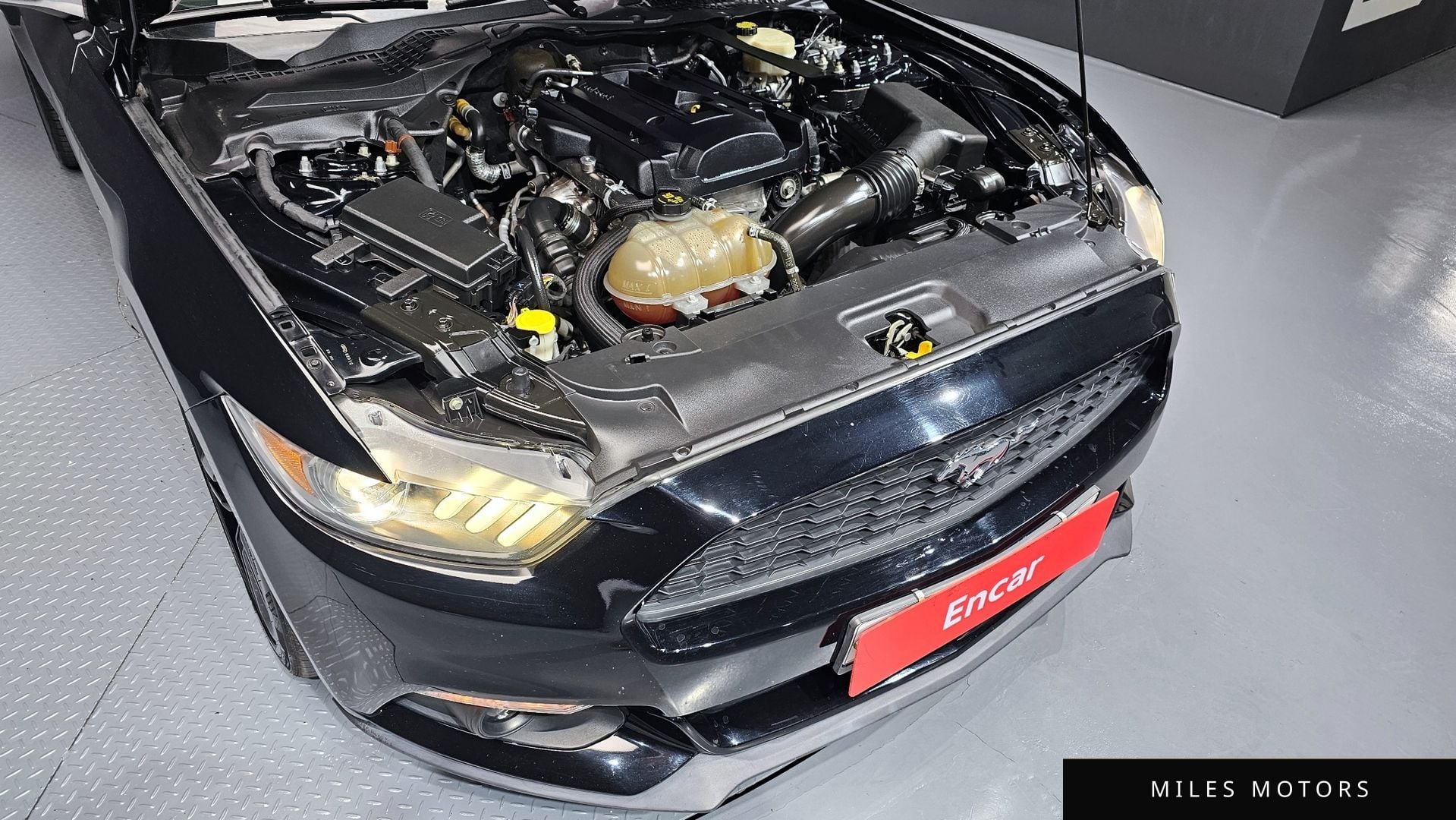 Ford Mustang 2016 — миниатюра 6