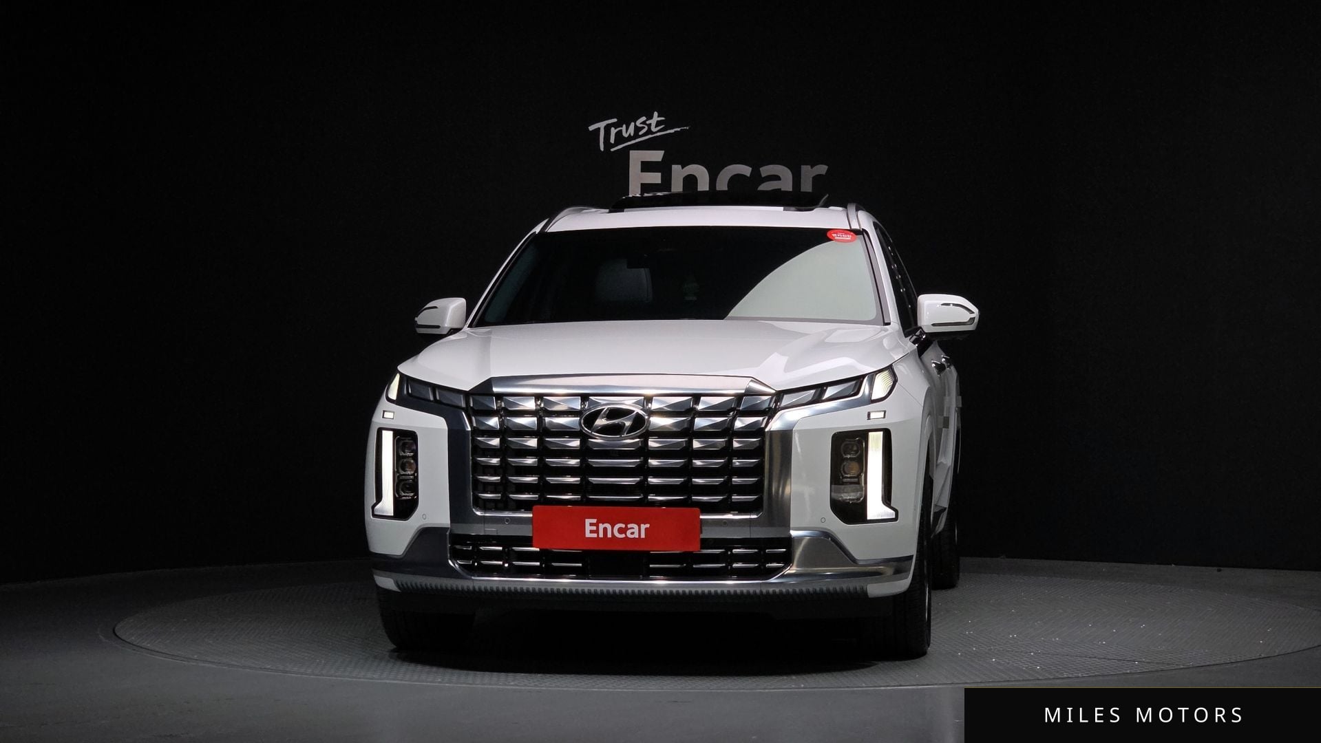Hyundai Palisade 2023 — миниатюра 3