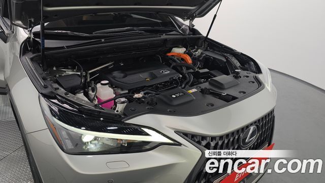 Лексус NX350h 2023 — миниатюра 6