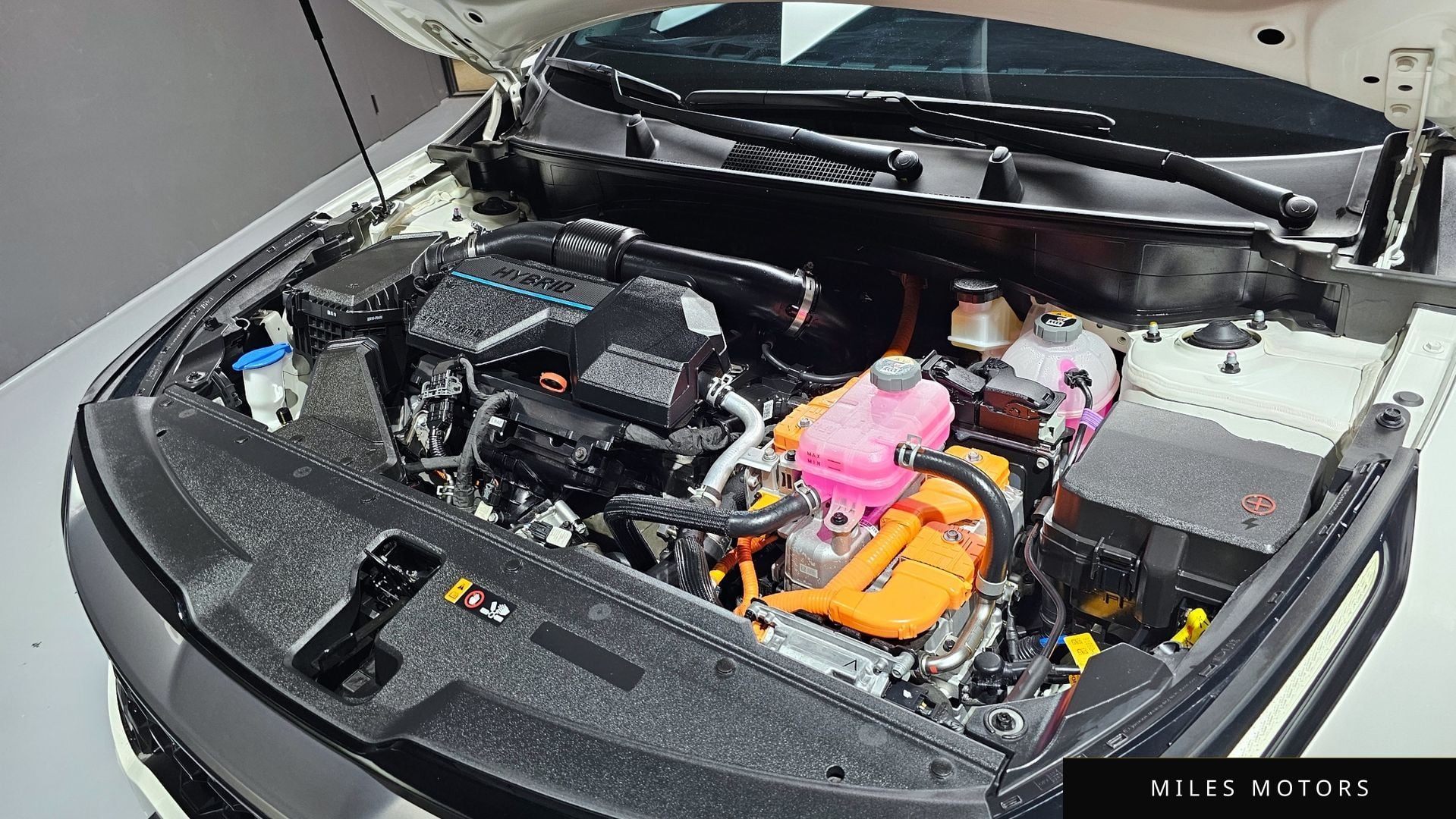 Kia Sportage 2024 — миниатюра 6