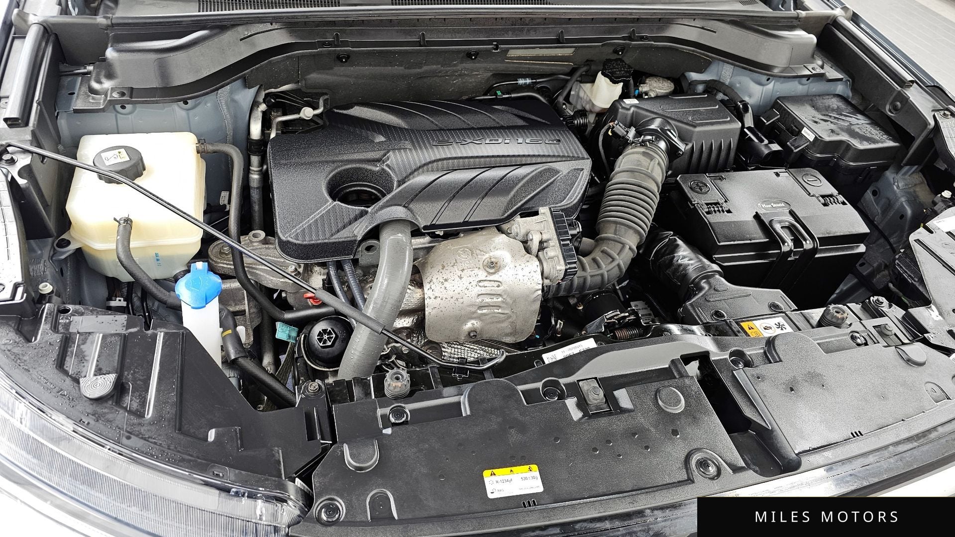 KG Mobility Beautiful Korando 2021 — миниатюра 6