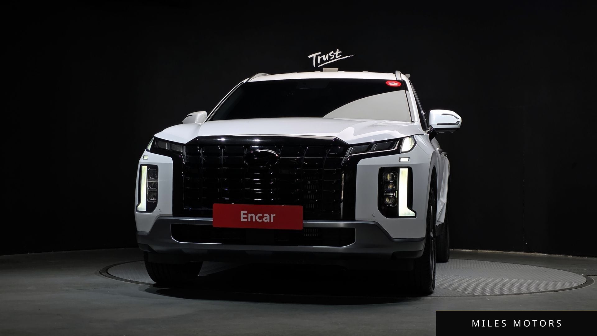 Hyundai Palisade 2024 — миниатюра 3