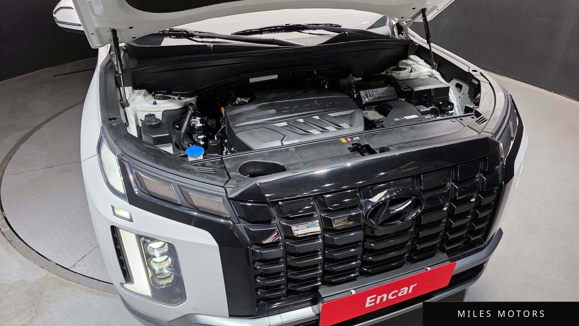 Hyundai Palisade 2024 — миниатюра 6