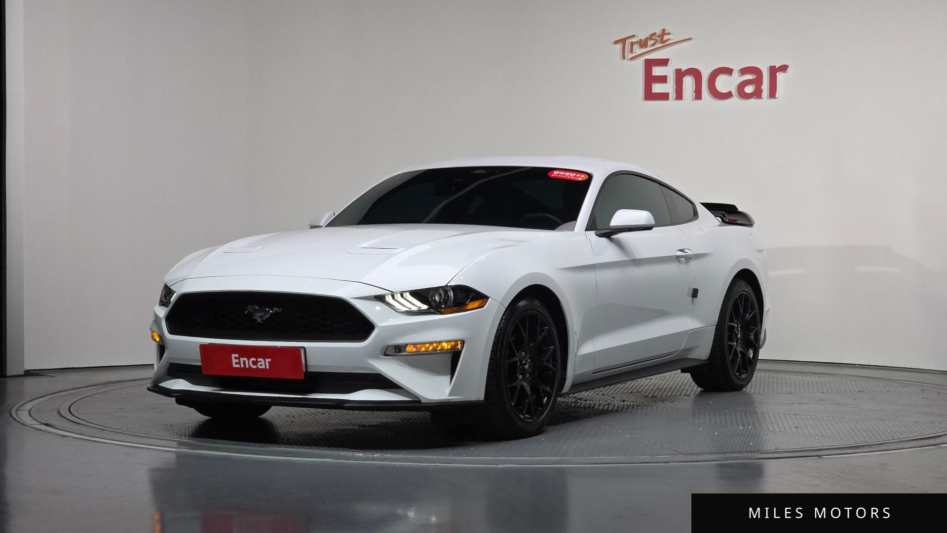 Ford Mustang 2023 — фото 1 из 12