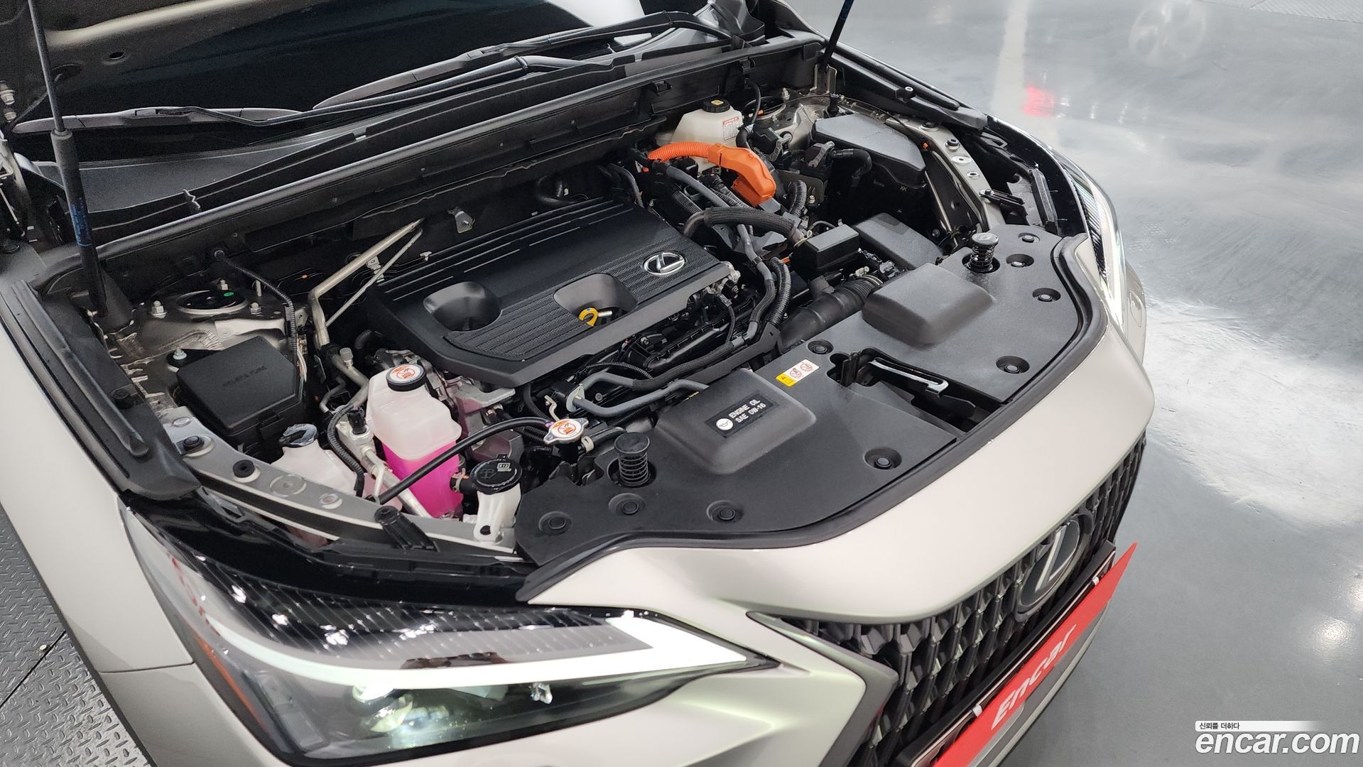 Лексус NX350h 2023 — миниатюра 6