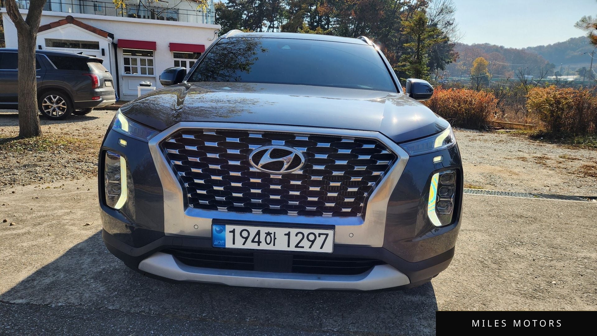 Hyundai Palisade 2022 — миниатюра 2