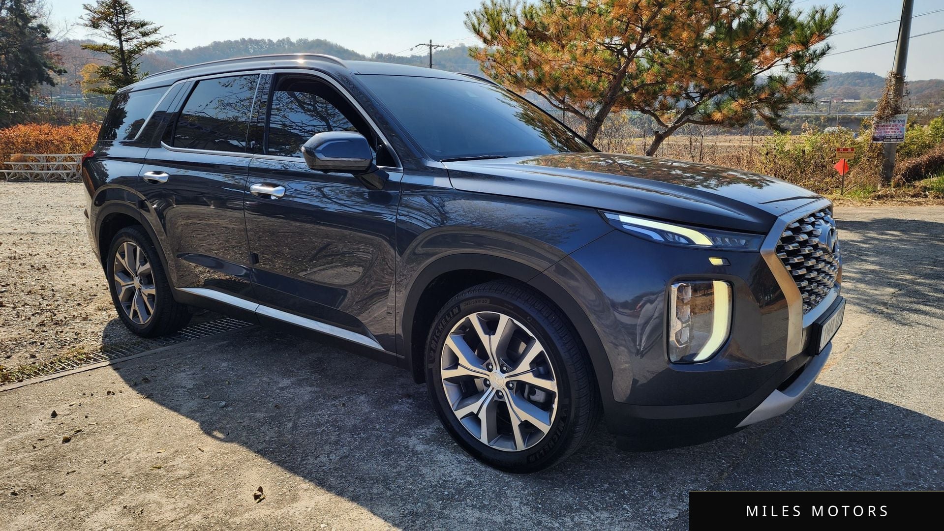 Hyundai Palisade 2022 — миниатюра 3