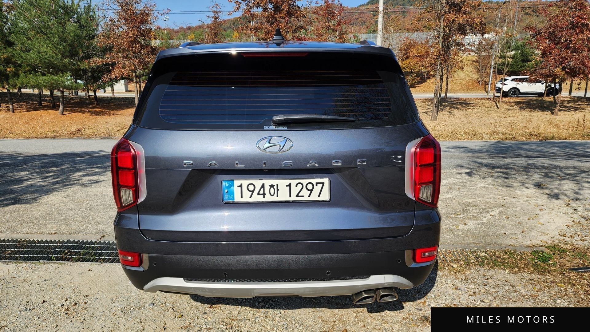 Hyundai Palisade 2022 — миниатюра 4