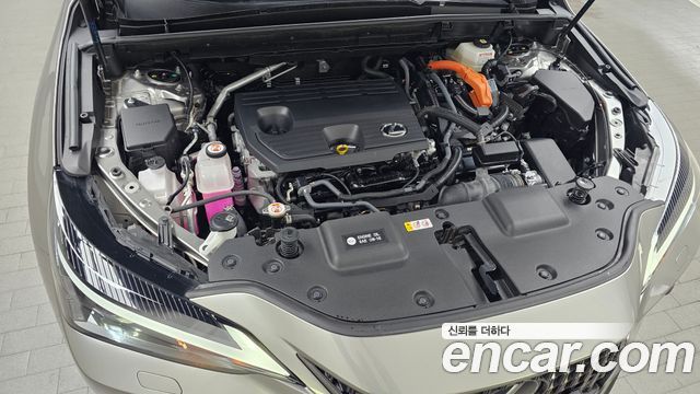 Лексус NX350h 2025 — миниатюра 6
