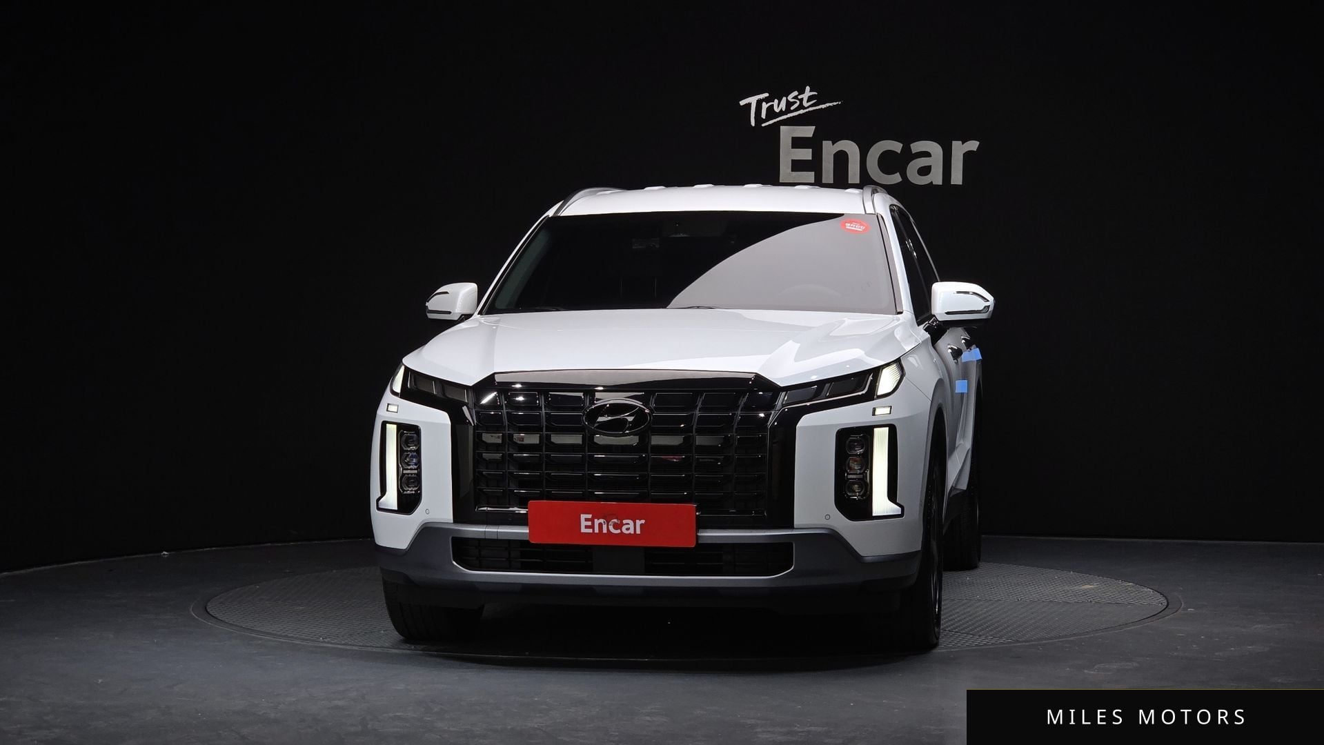 Hyundai Palisade 2023 — миниатюра 3