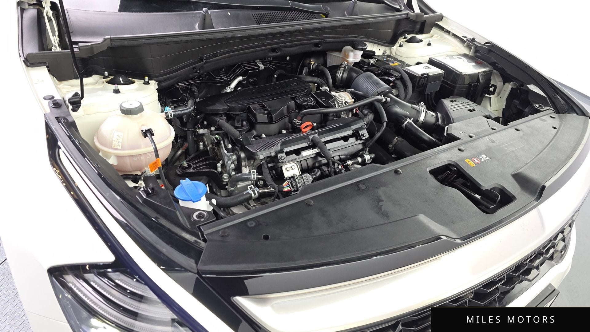 Kia Sportage 2024 — миниатюра 6