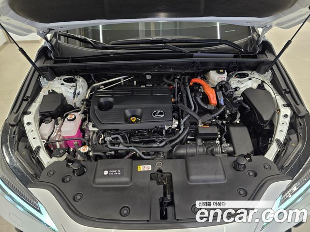 Лексус NX350h 2024 — миниатюра 6
