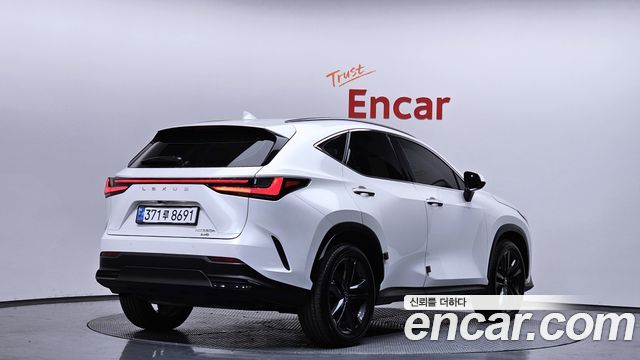 Лексус NX350h 2024 — миниатюра 2