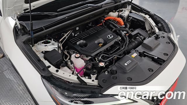 Лексус NX350h 2024 — миниатюра 6