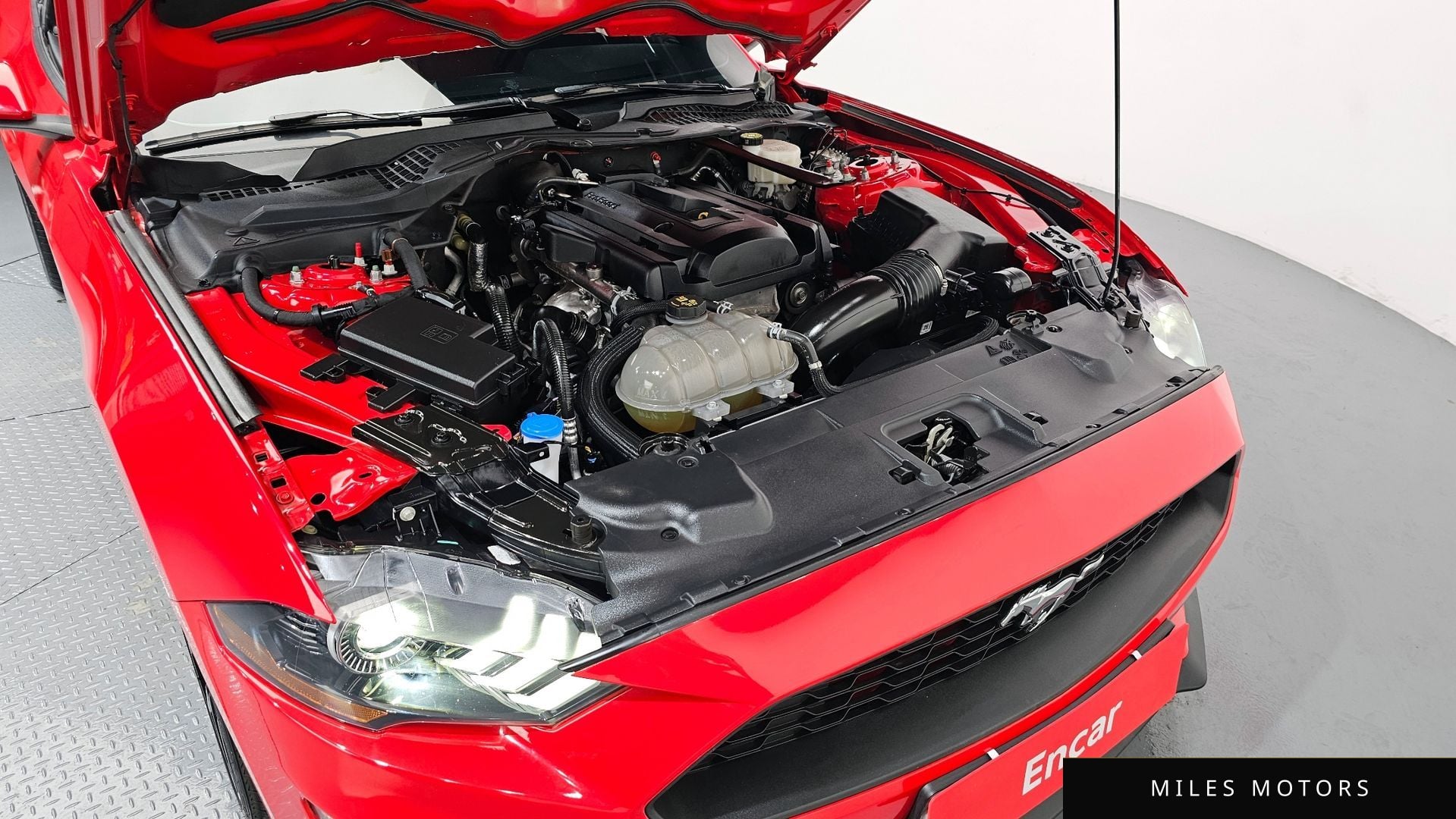 Ford Mustang 2023 — миниатюра 6