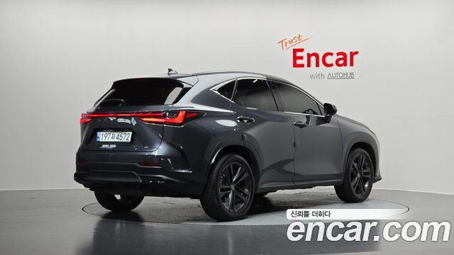 Лексус NX350h 2023 — миниатюра 2