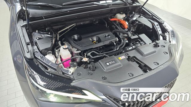 Лексус NX350h 2023 — миниатюра 6