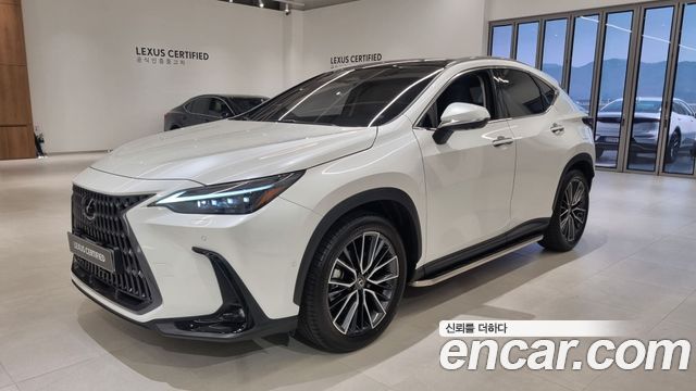 Лексус NX350h 2025 — миниатюра 25