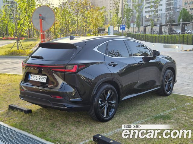 Лексус NX350h 2025 — миниатюра 2