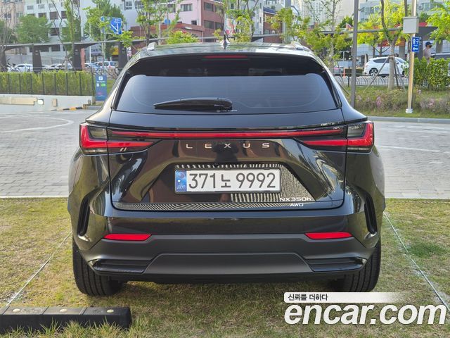 Лексус NX350h 2025 — миниатюра 4