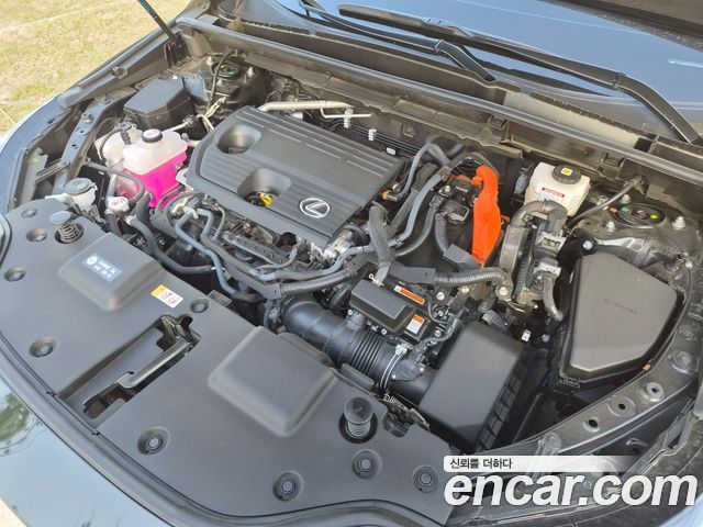 Лексус NX350h 2025 — миниатюра 6