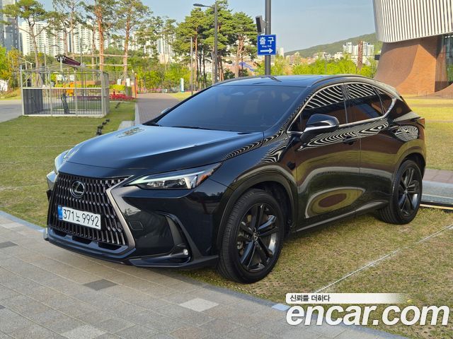 Лексус NX350h 2025 — миниатюра 26
