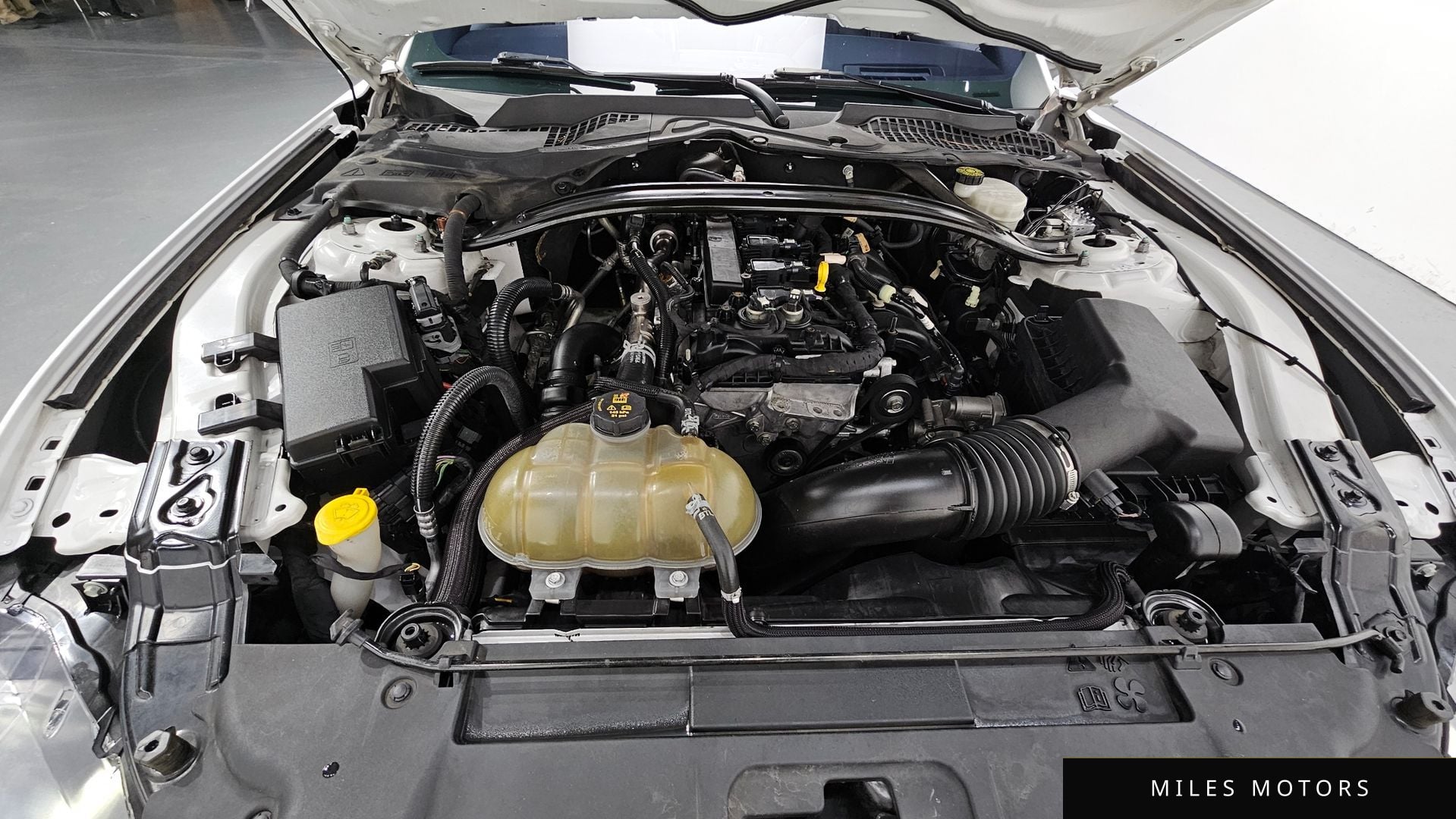 Ford Mustang 2019 — миниатюра 6