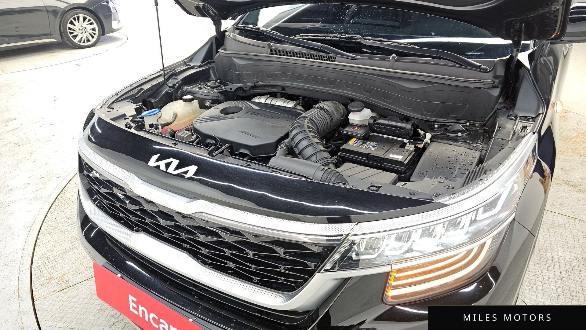 Kia Seltos 2023 — миниатюра 6