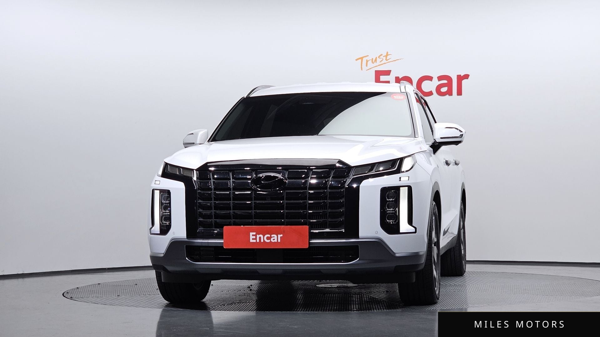 Hyundai Palisade 2024 — миниатюра 3