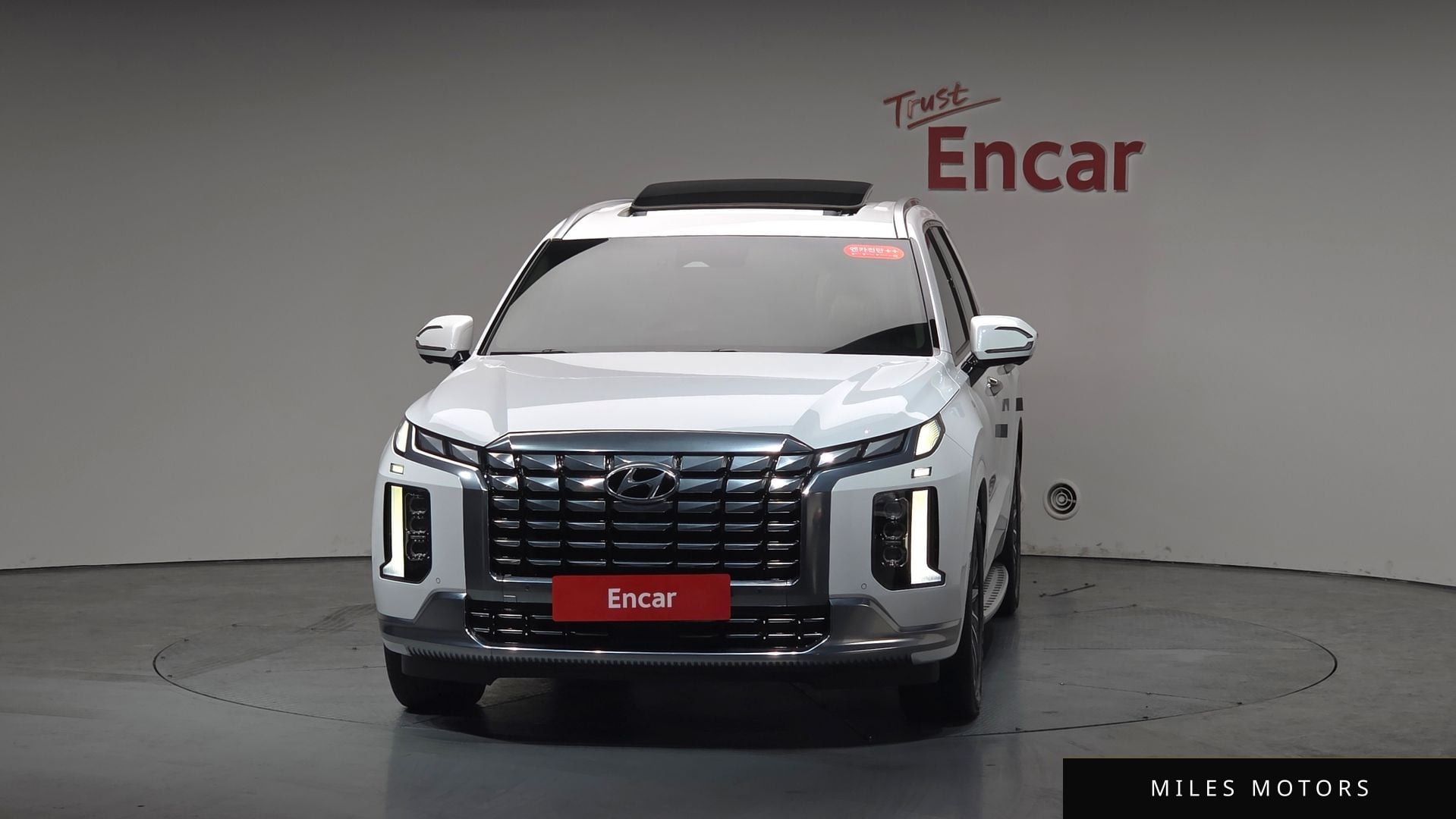 Hyundai Palisade 2023 — миниатюра 2