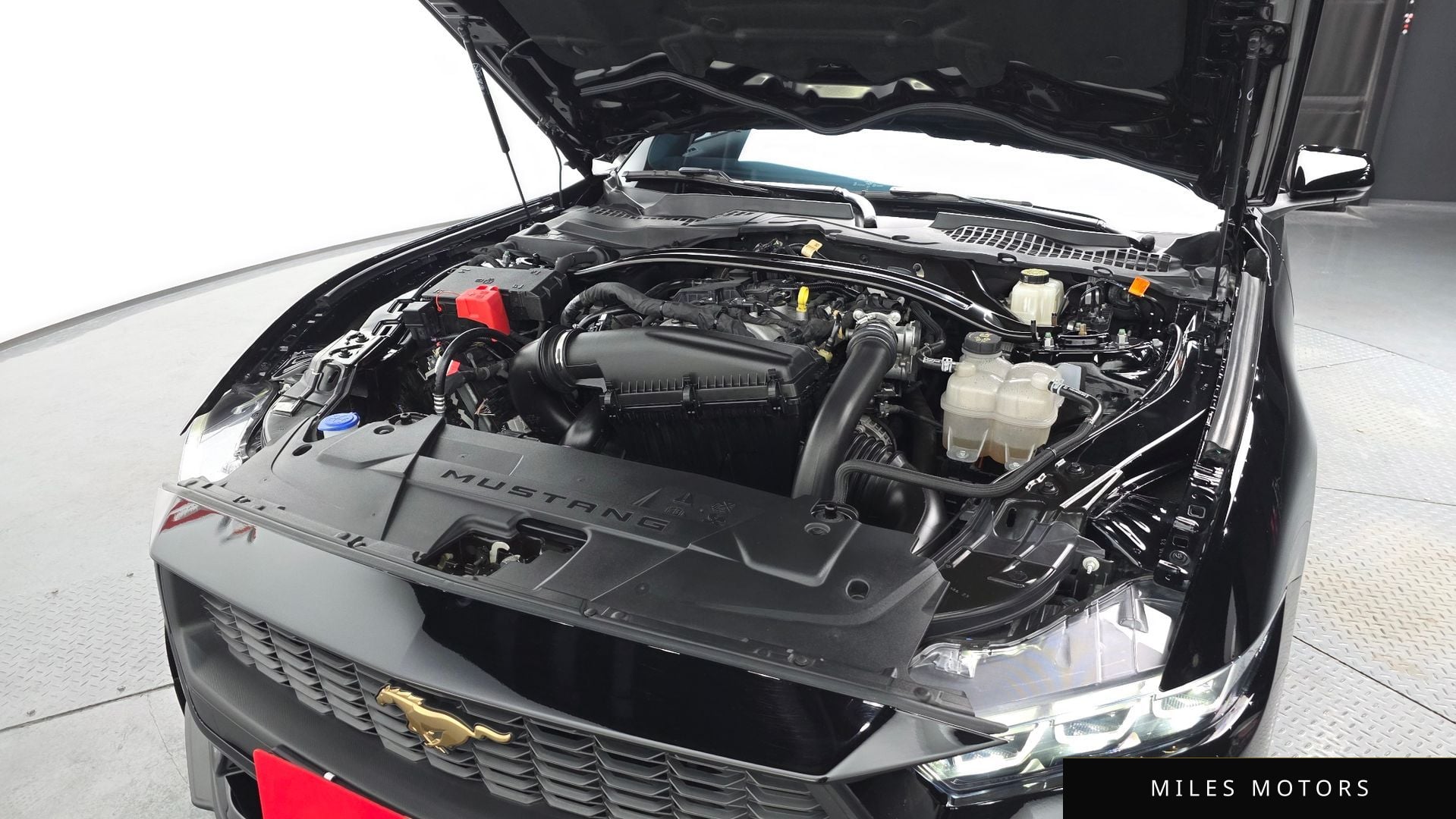 Ford 머스탱 2024 — миниатюра 5