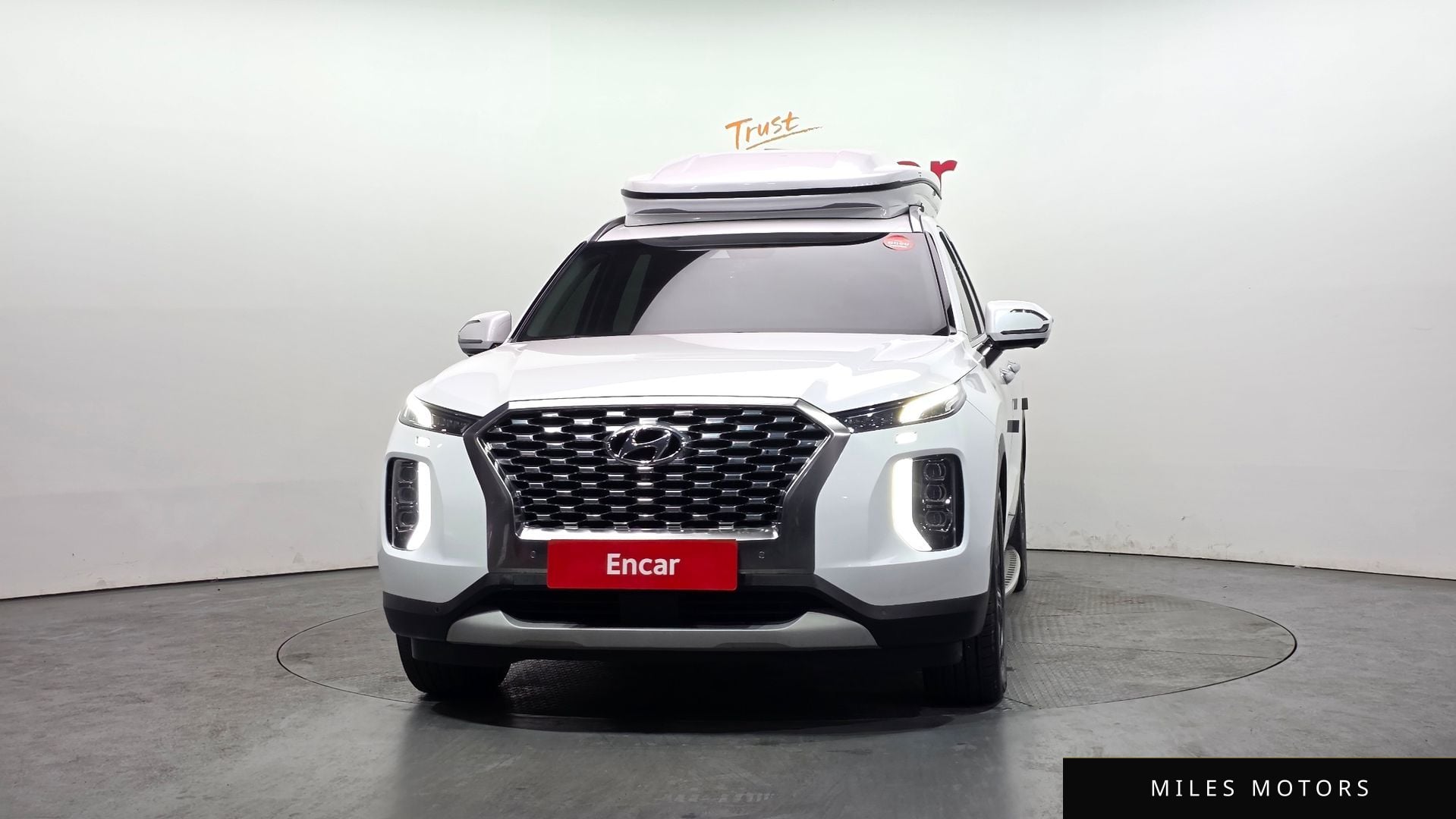 Hyundai Palisade 2019 — миниатюра 3