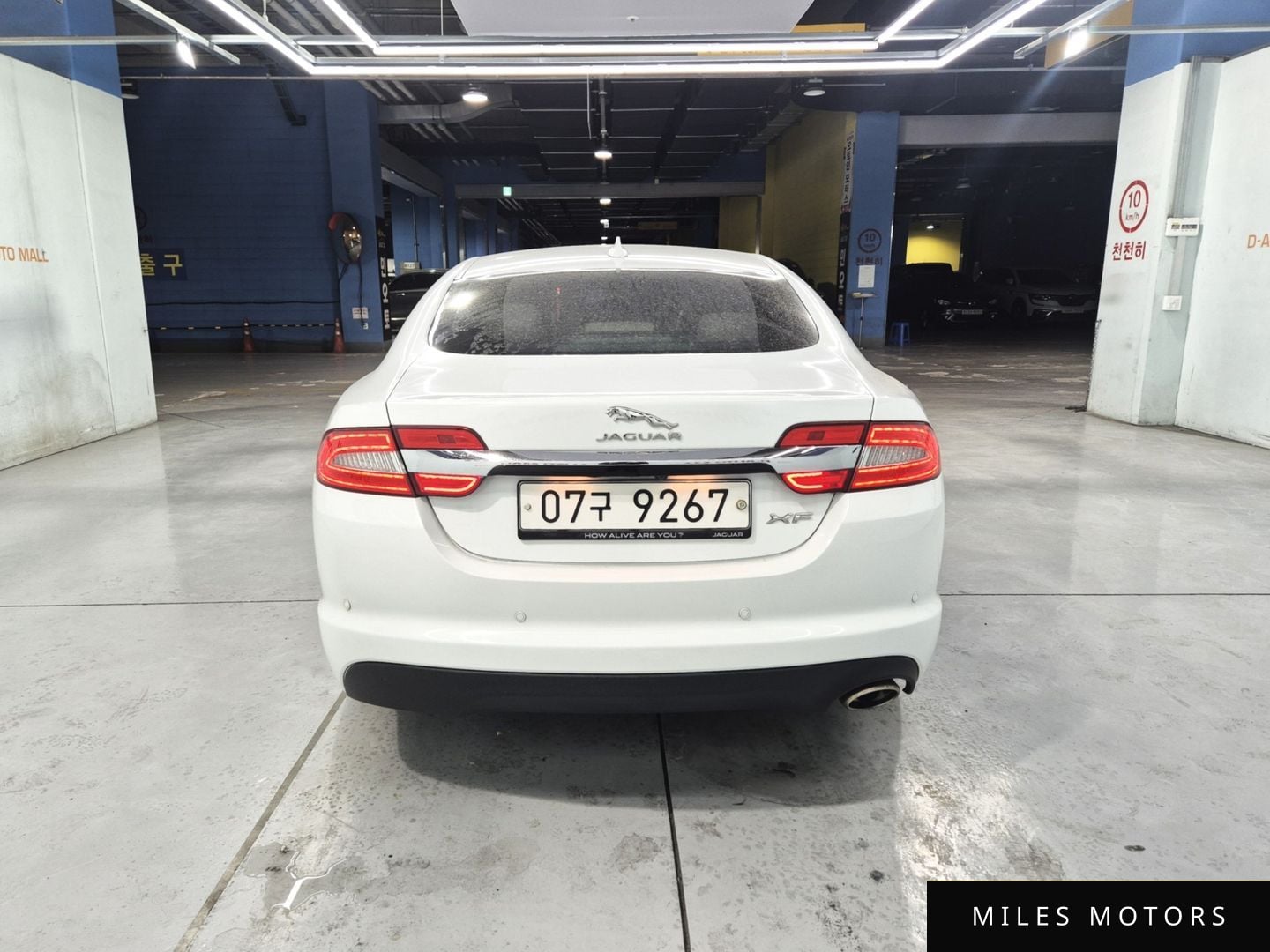 Jaguar New XF 2015 — миниатюра 7