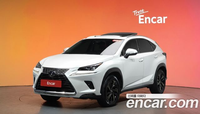 Лексус NX300h 2019 — миниатюра 10