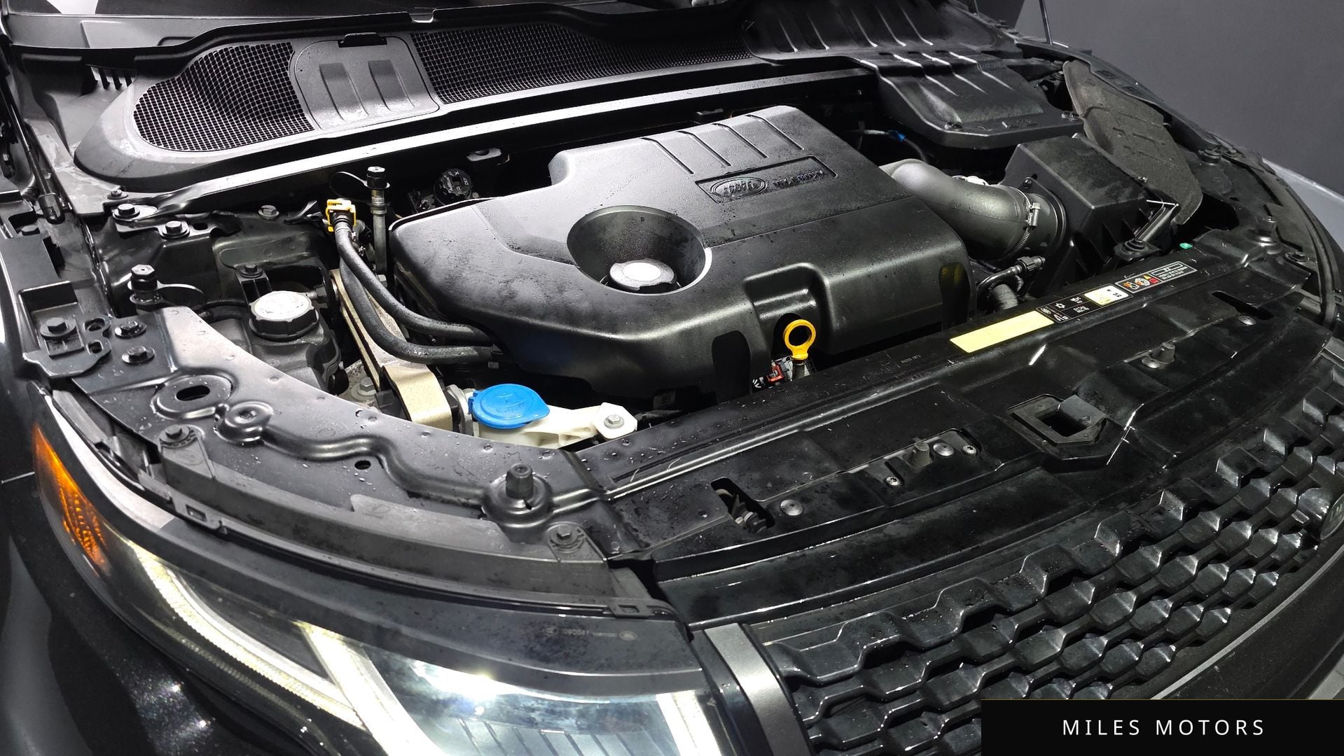 Land Rover Range Rover Evoque 2018 — миниатюра 6