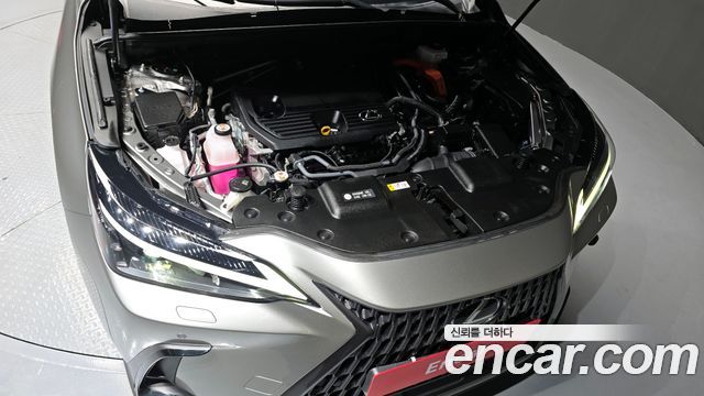 Лексус NX350h 2024 — миниатюра 6