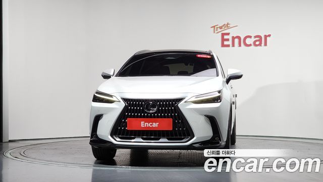 Лексус NX350h 2025 — миниатюра 2