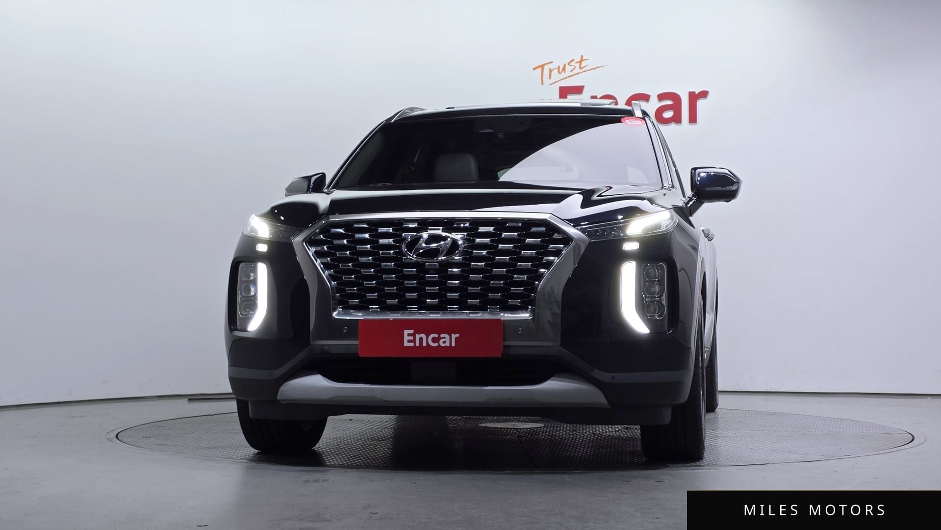 Hyundai Palisade 2019 — миниатюра 3
