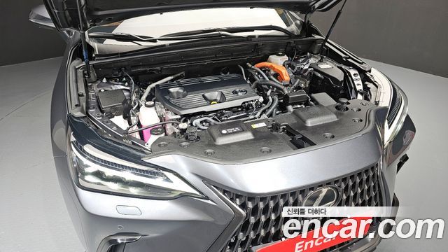 Лексус NX350h 2025 — миниатюра 6
