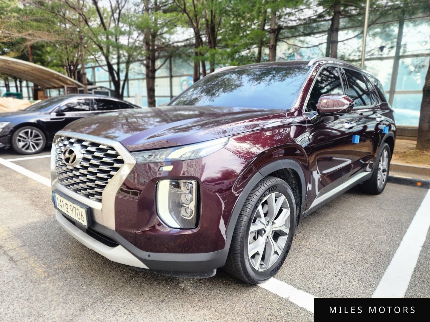 Hyundai Palisade 2022 — миниатюра 2