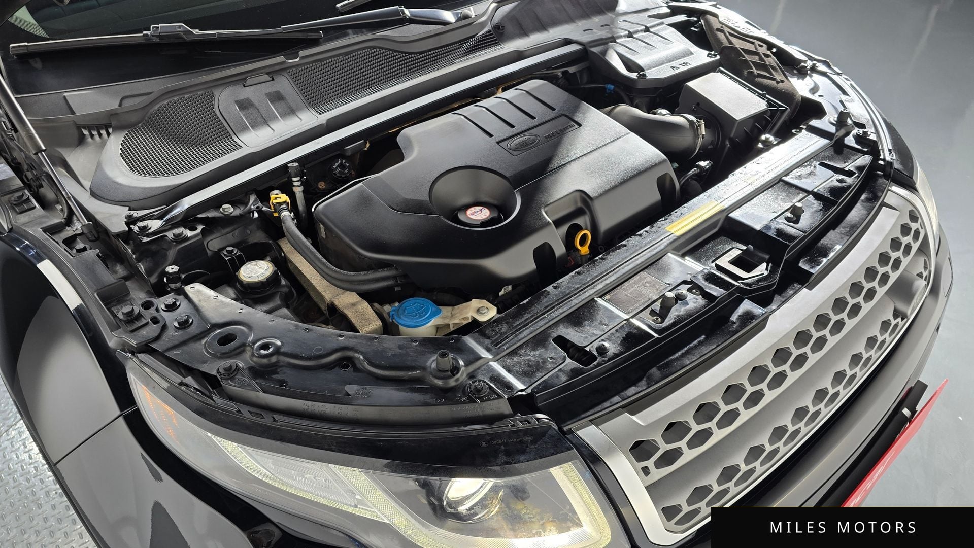 Land Rover 레인지로버 이보크 2017 — миниатюра 5