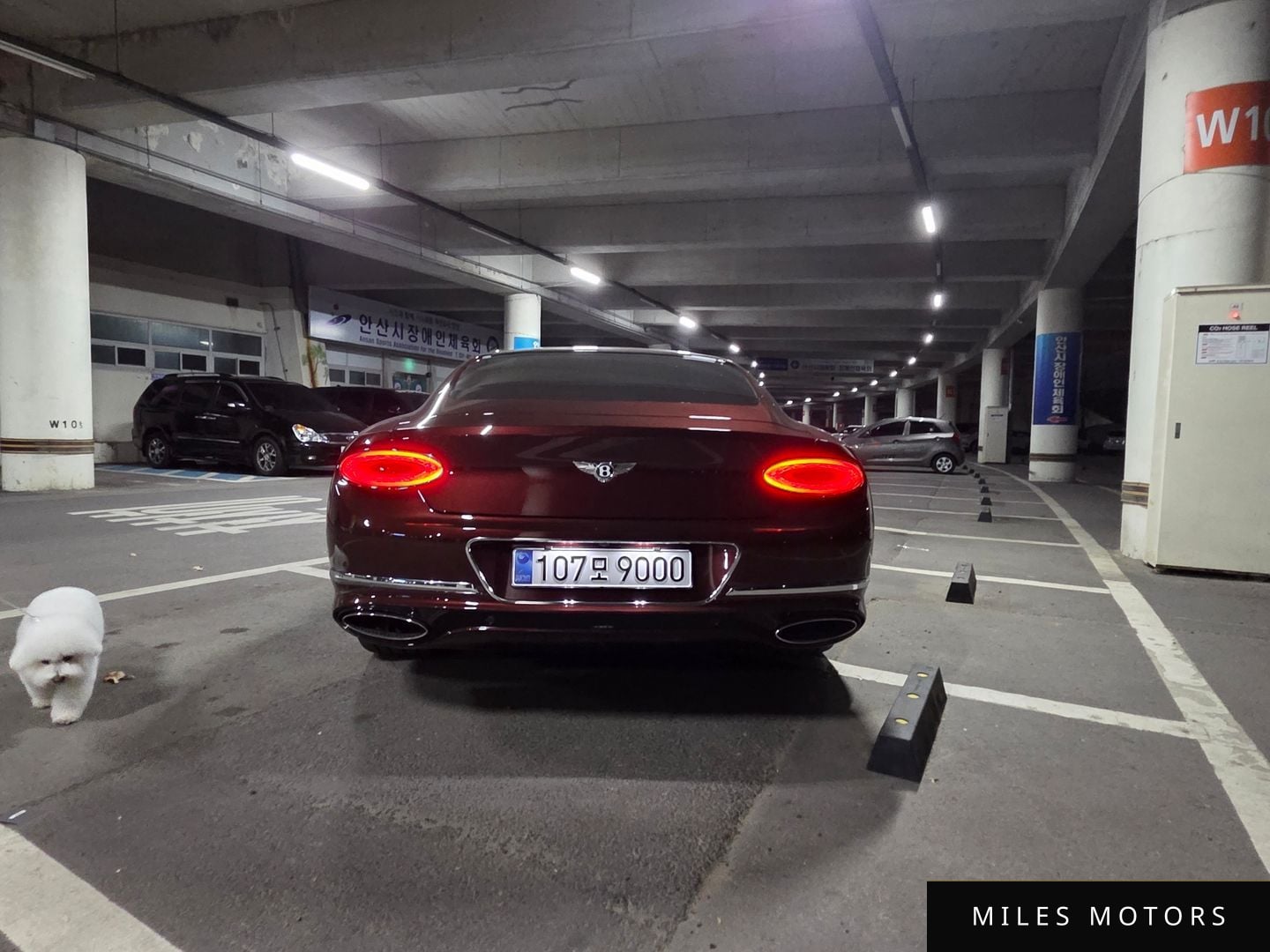 Bentley Continental GT 2019 — миниатюра 3