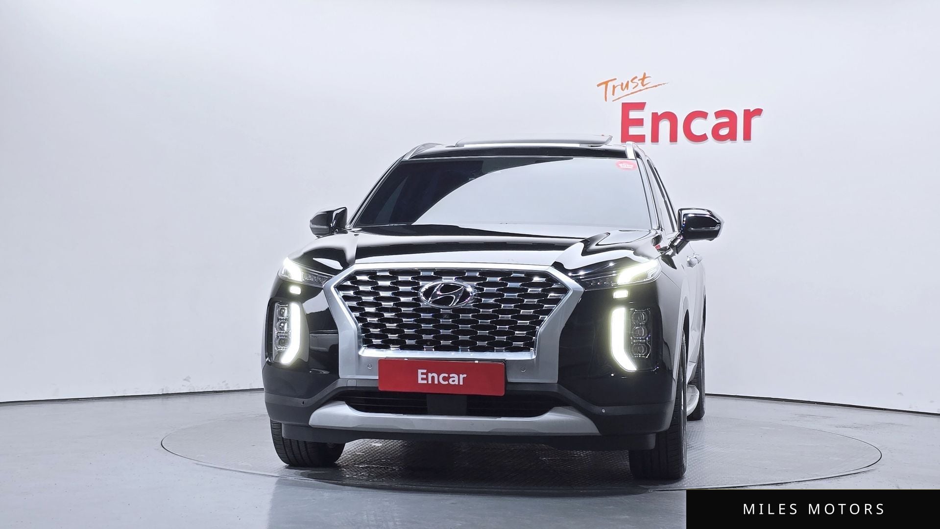 Hyundai Palisade 2020 — миниатюра 3