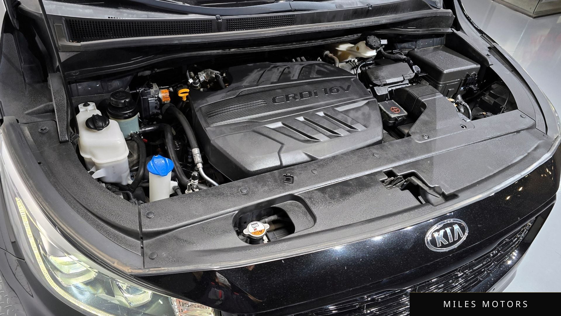 Kia Canival 2019 — миниатюра 6