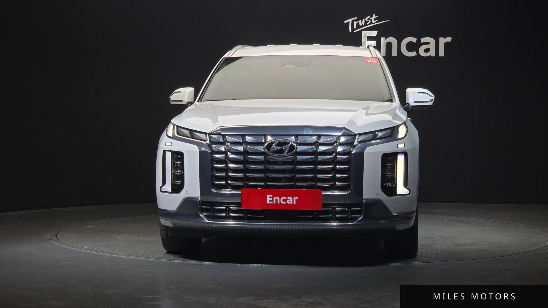 Hyundai Palisade 2023 — миниатюра 3