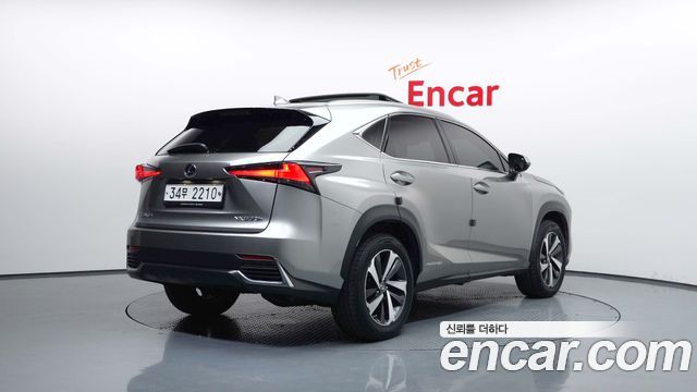 Лексус NX300h 2019 — миниатюра 2