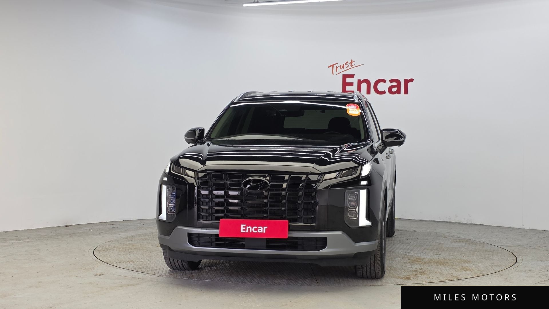 Hyundai Palisade 2023 — миниатюра 3